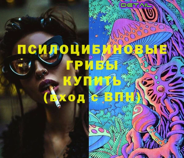мдпв Богородицк