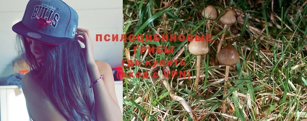 метадон Богданович