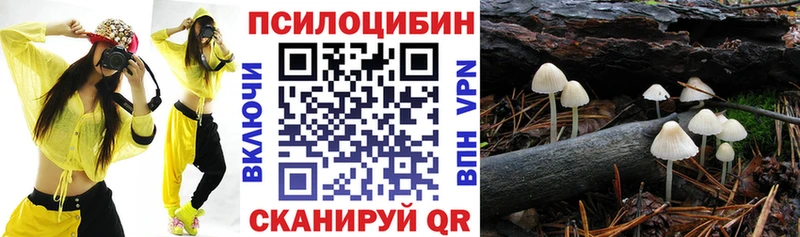 Галлюциногенные грибы MAGIC MUSHROOMS  Болохово 